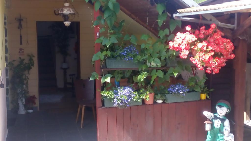 Hotel U Tri Kocek Jablonné v Podještědí Esterno foto